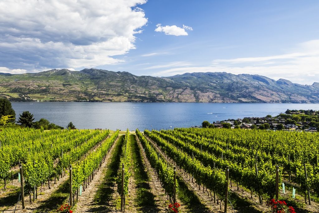 Kelowna View